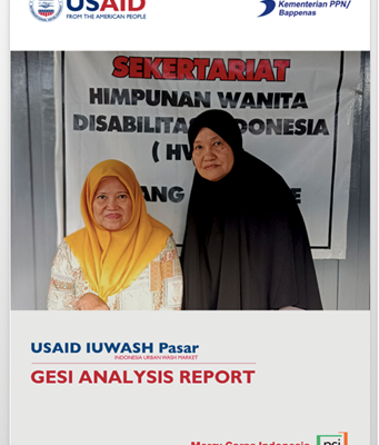 usaid_GESI_Analysis_Report